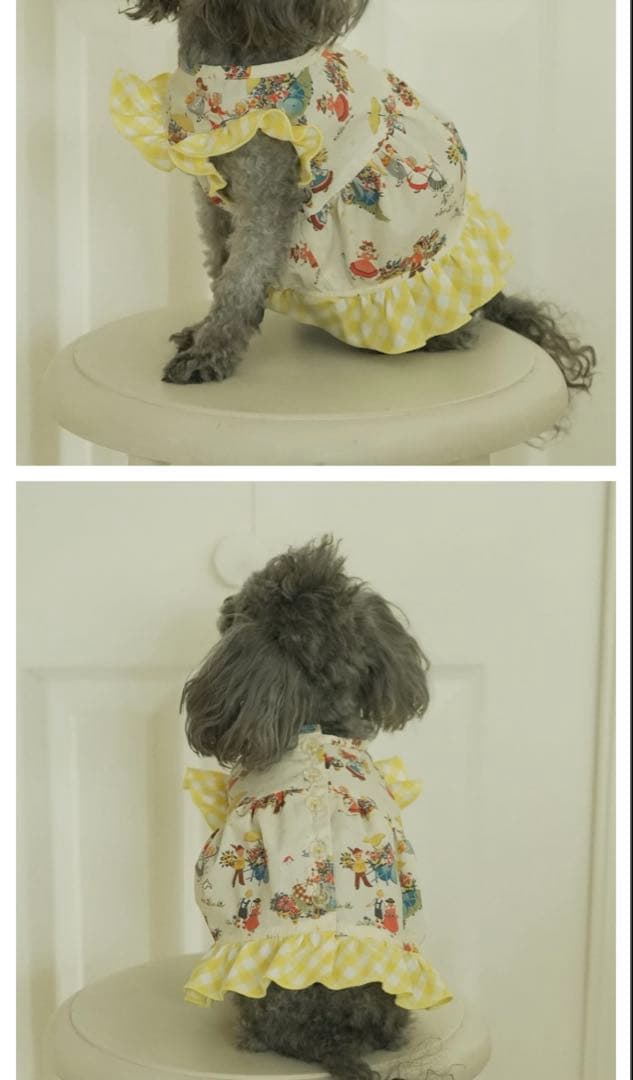 アトリエgg★エプロンドレス19ハーフ☆ピニーフラワーイエロー