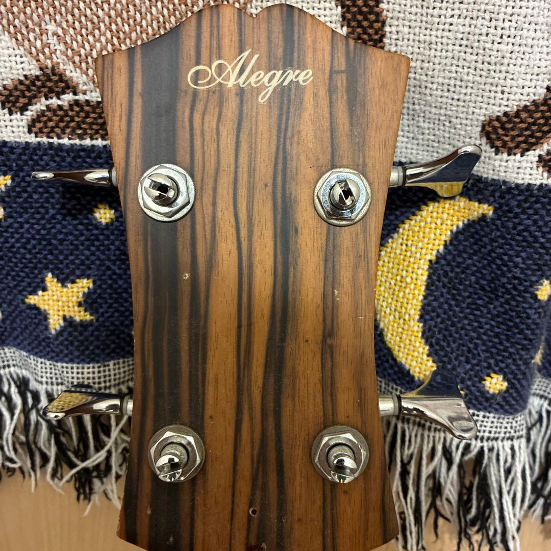 Alegre アコースティックベース　アンプ接続可能