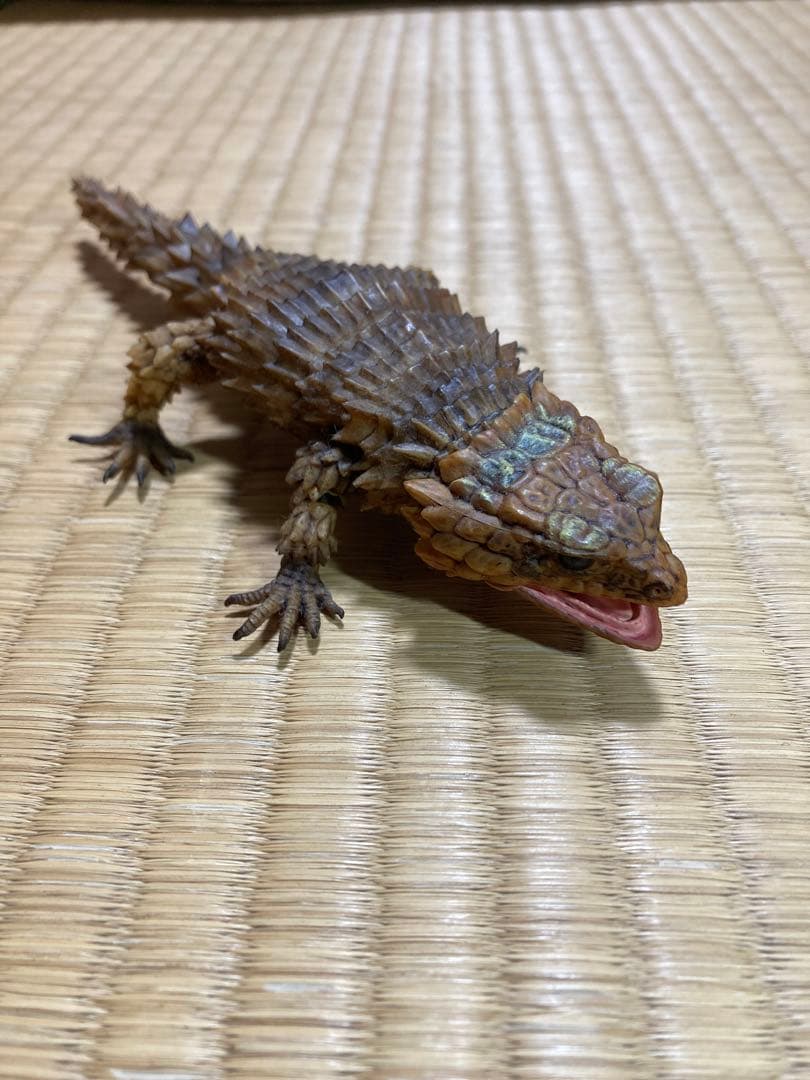 いきもの大図鑑　アルマジロトカゲ コンプリート　4種