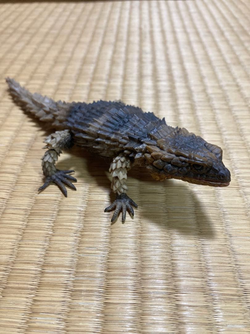 いきもの大図鑑　アルマジロトカゲ コンプリート　4種