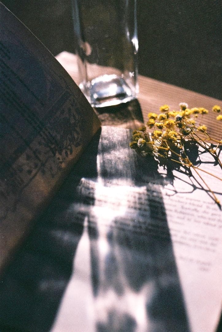 Canon EOS 1N フィルム一眼レフカメラ