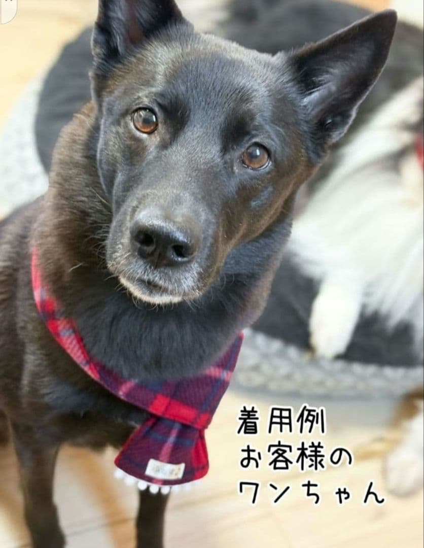 マフラー 犬用