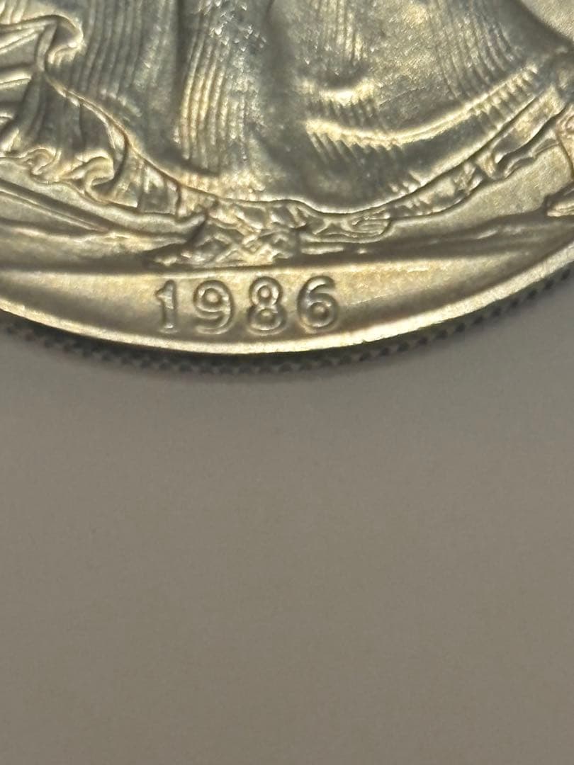 アメリカ 1ドル シルバー 31.3g