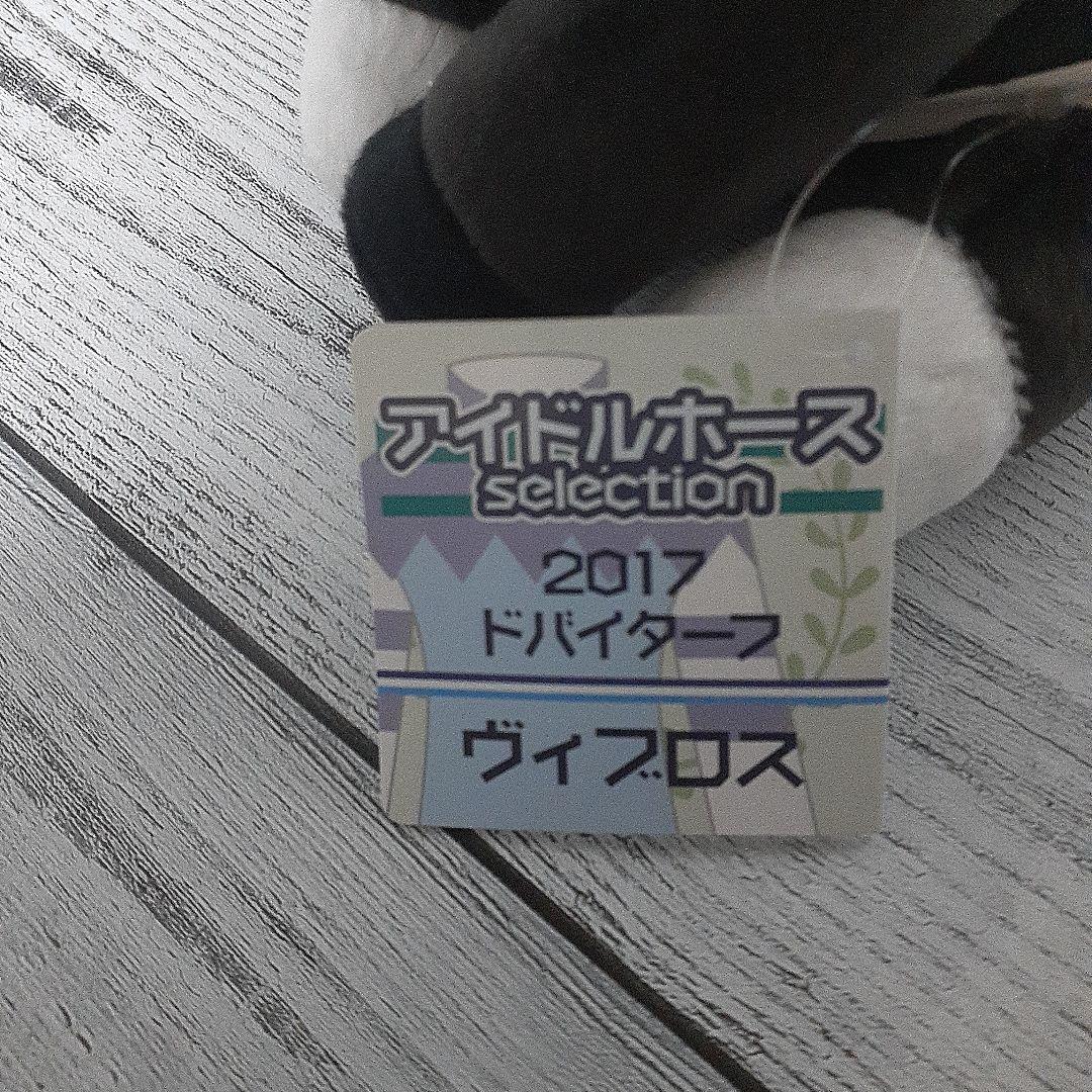 アイドルホース　ヴィブロス