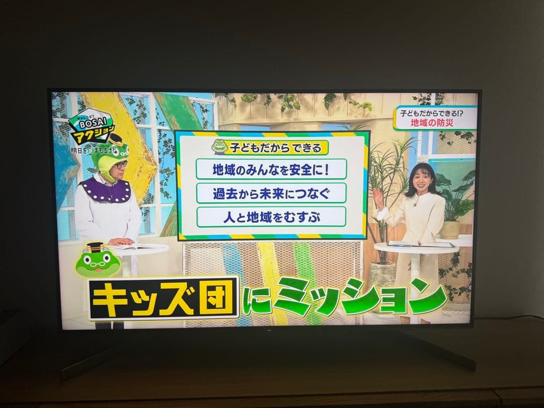 SONY BRAVIA4K液晶テレビKJ49X9500G