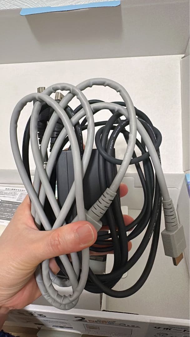 Nintendo Switch 本体　あつまれどうぶつの森