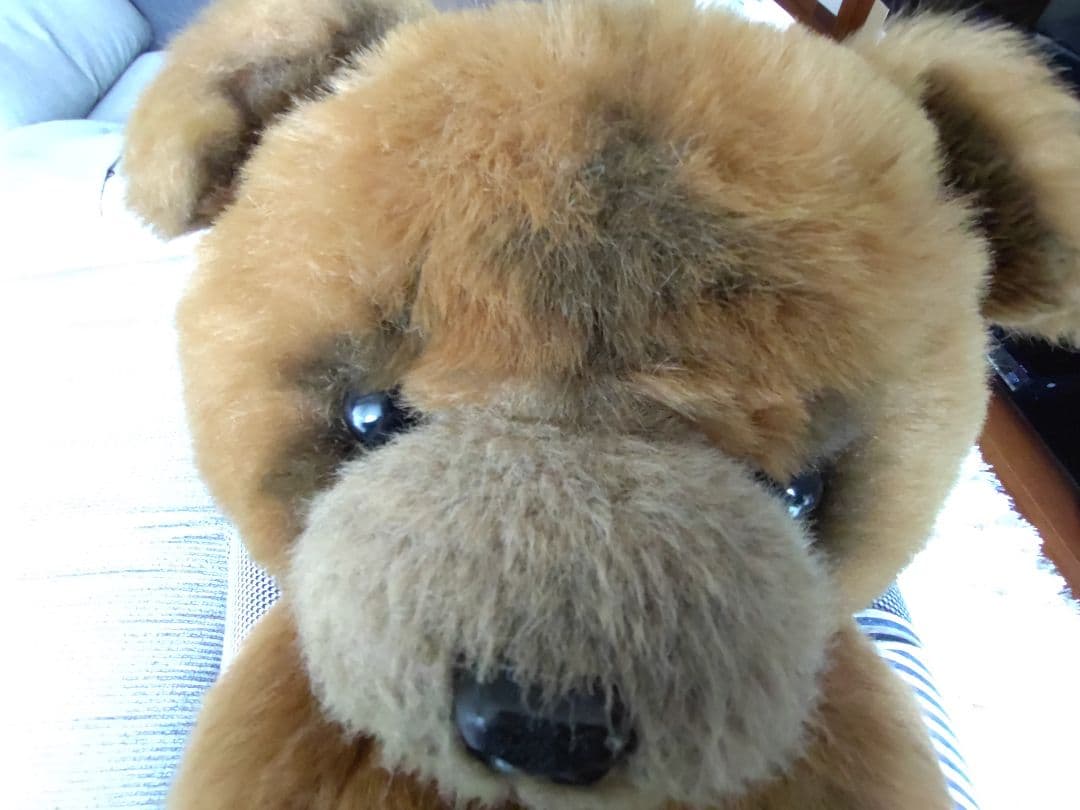 【三英】昭和 レトロ 特大 チャウチャウ ぬいぐるみ