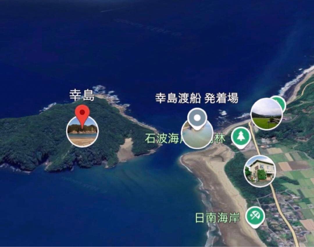 映画GRANBLUEのジャックマイヨールの希少サイン　横向きイルカ査定額60万円