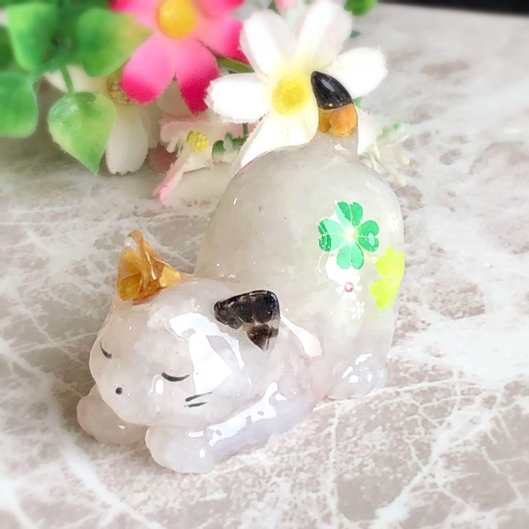 はくとん( 'ω')ŧ‹\"ŧ‹\"ページです♥️