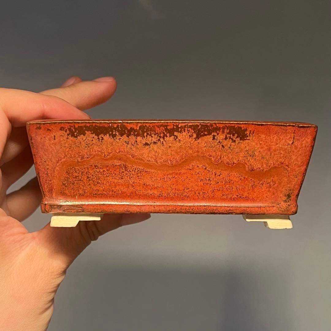 749.桂雲 鉄紅釉段足長方 盆栽鉢 植木鉢 11.5*9.3*4.5cm