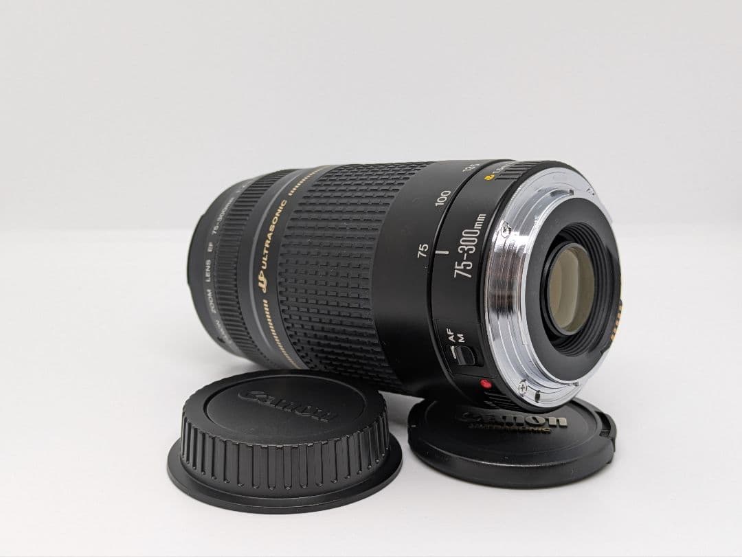7月30日限定【超望遠レンズ】Canon EF 75-300mm Ⅱ USM