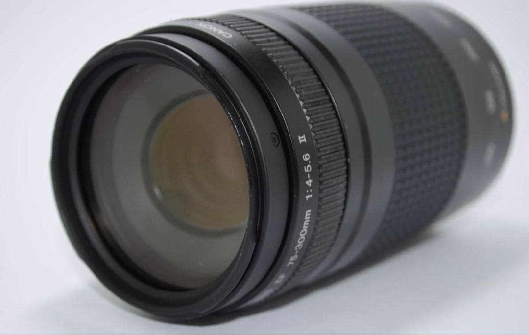 ☆望遠レンズ☆一眼レフカメラ☆Canon EF 75-300㎜F4-5.6 Ⅱ☆