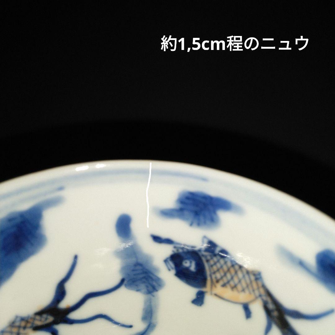 NO527 若深珍蔵　湯呑み　龍魚文　中国美術