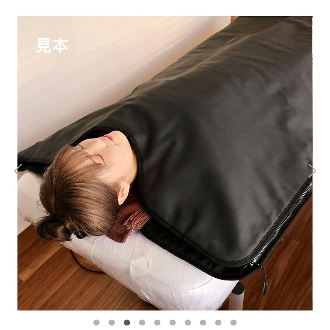 【最終値下げ！】シュアラインプロ-パスティール