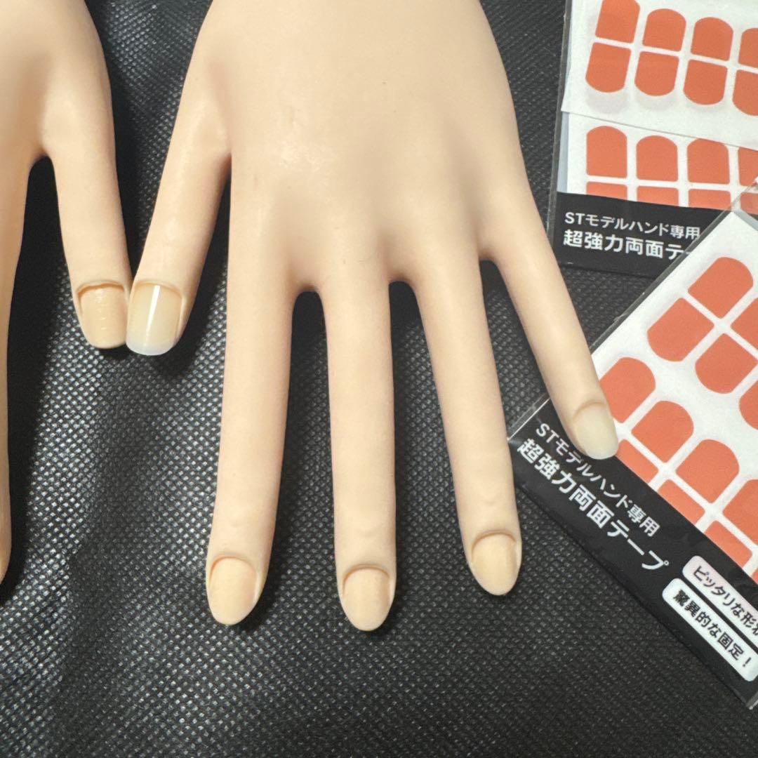 ネイル検定用ハンド ST ◆モデルハンド セット