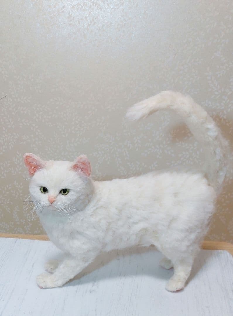 羊毛フェルト　猫