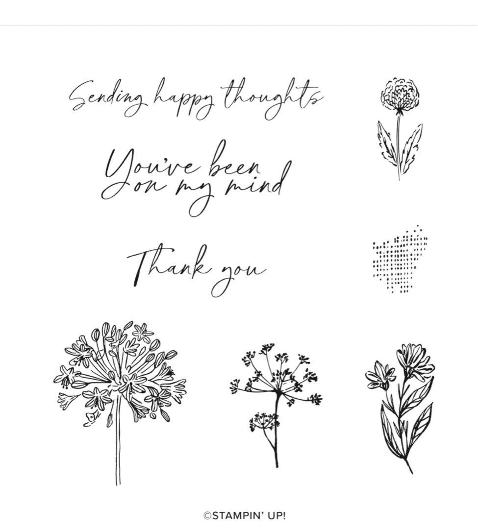 １点限り♡未使用　大人気重ねて重ねて可愛いフレームダイ&スタンプ