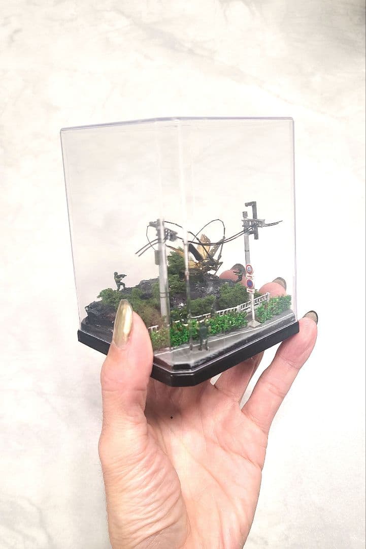 カミキリムシ　立体標本