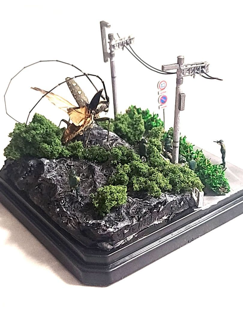 カミキリムシ　立体標本