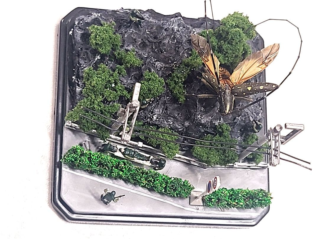 カミキリムシ　立体標本