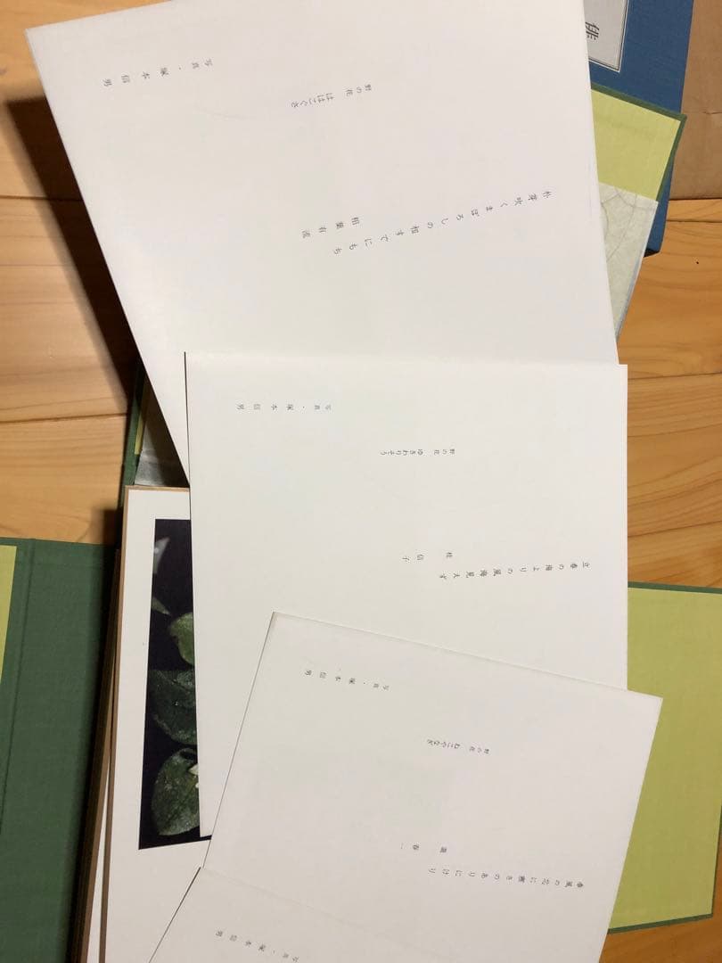 色紙 野の花・歳時記 上下巻セット