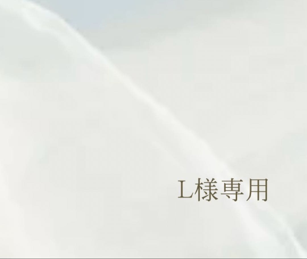 【 L出品 】 50×40cm size art