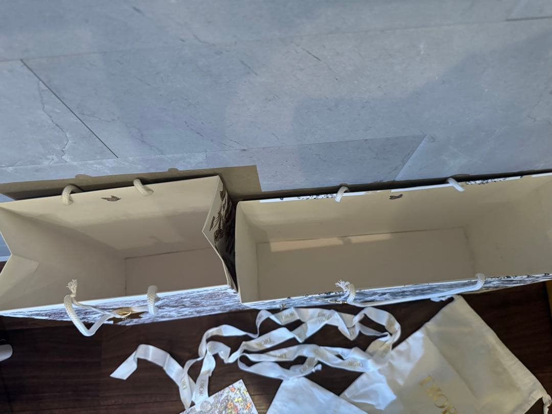 Dior ショッピングバッグ 2点セット