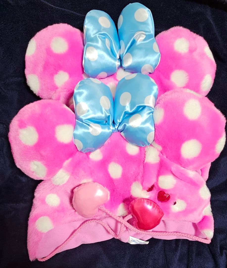 ディズニーランド　パルパルーザ　ミニーのファンダーランド　ファンキャップ 2点