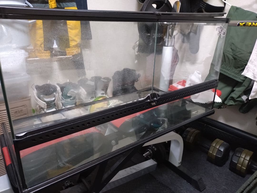 引き取り限定　グラステラリウム9045