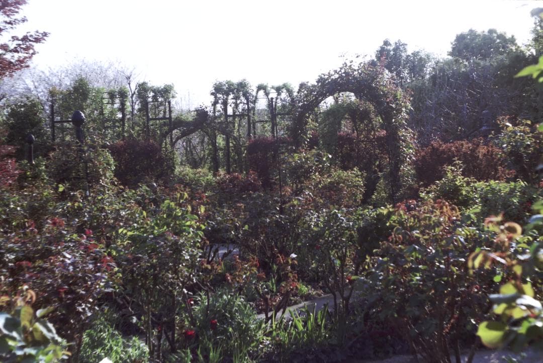 実写確認済！IHAGEE Exa 一眼レフ オールドカメラ 世界初一眼レフ