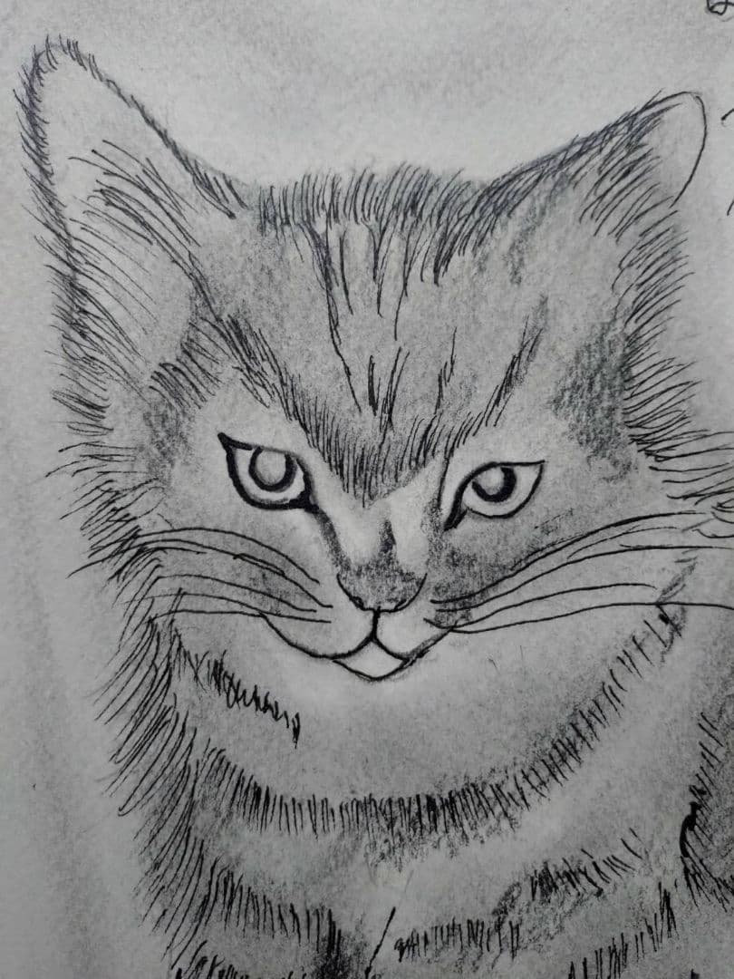 藤田嗣治【座る子猫】手描き作品/表裏サイン有り/鉛筆/逸品/額縁/額装