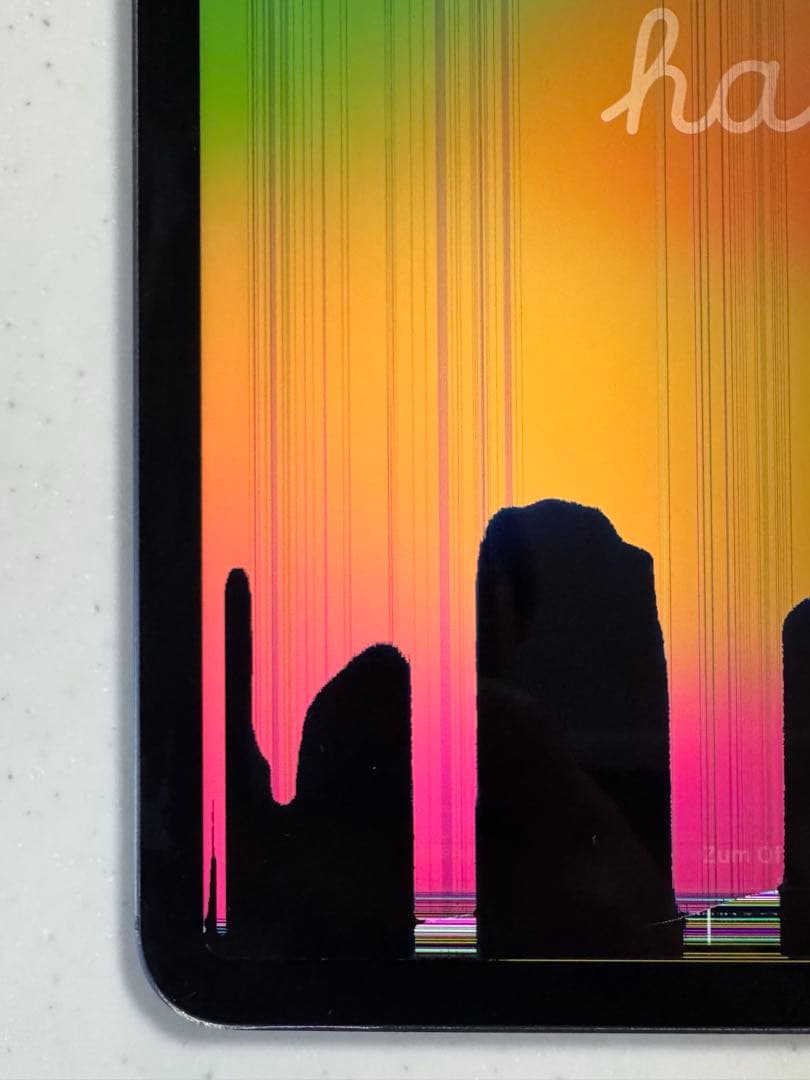 【ジャンク品】iPad Pro (11インチ) 第2世代 512GB