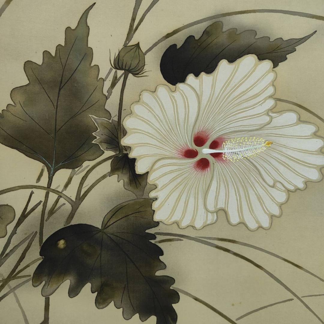 真作/龍畝/白蓉花図/花/桐共箱付布袋屋掛軸A-397