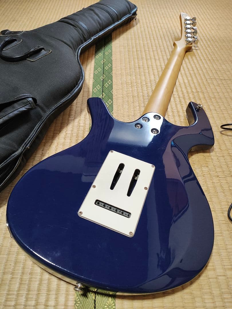 Parker ステンレスフレット化、ロックペグ化済