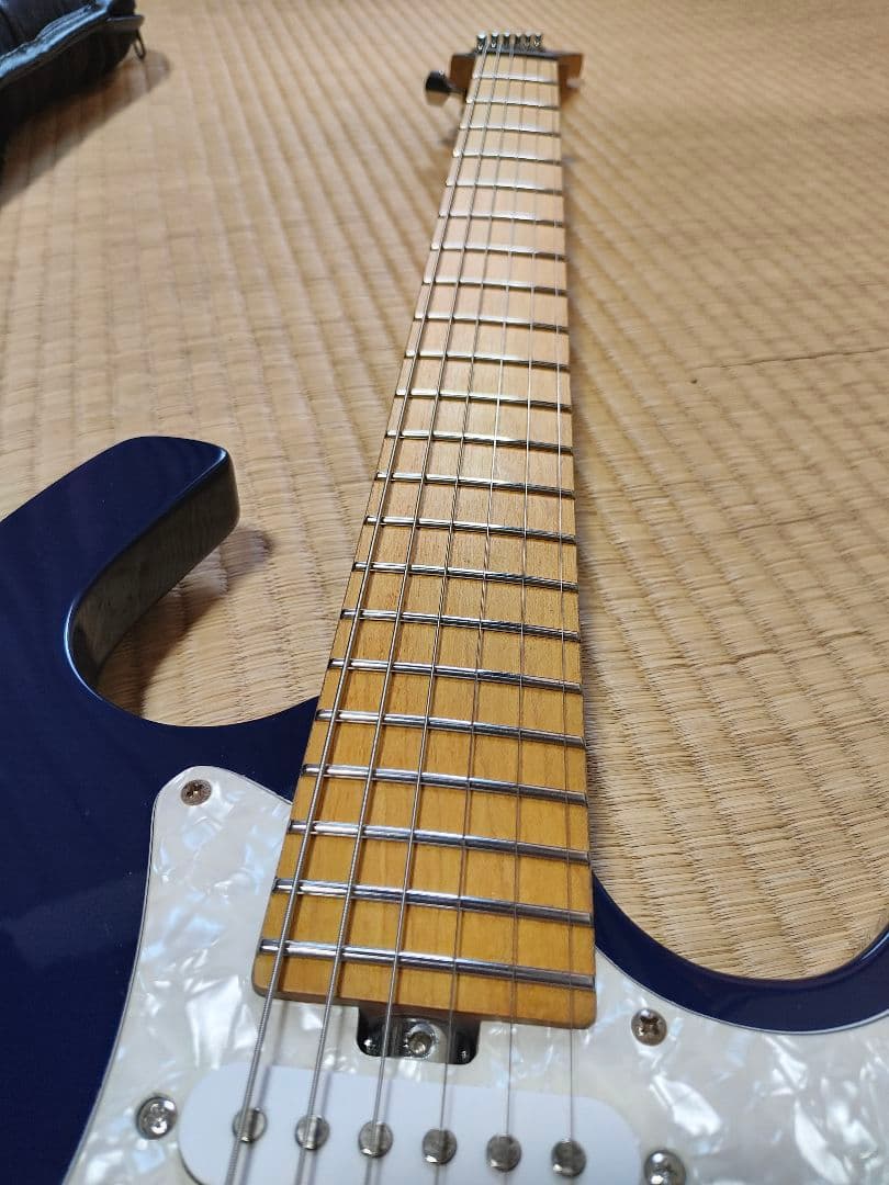 Parker ステンレスフレット化、ロックペグ化済