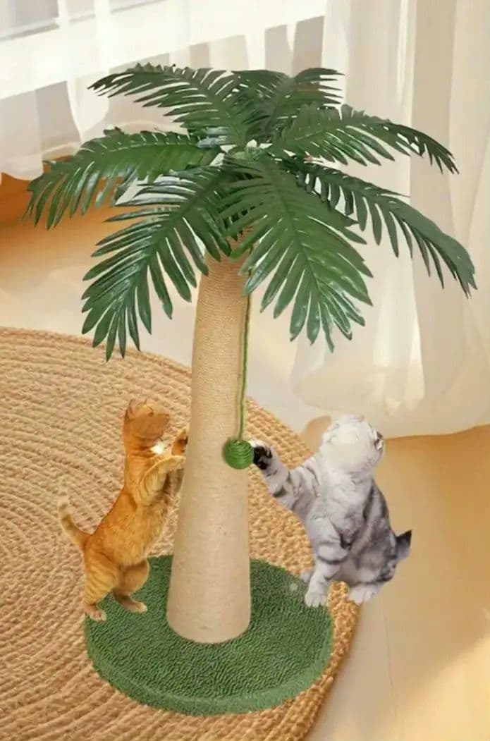 素敵な縦置きヤシの木(大人猫)爪研ぎ遊びココナッツ実付き！新品未使用