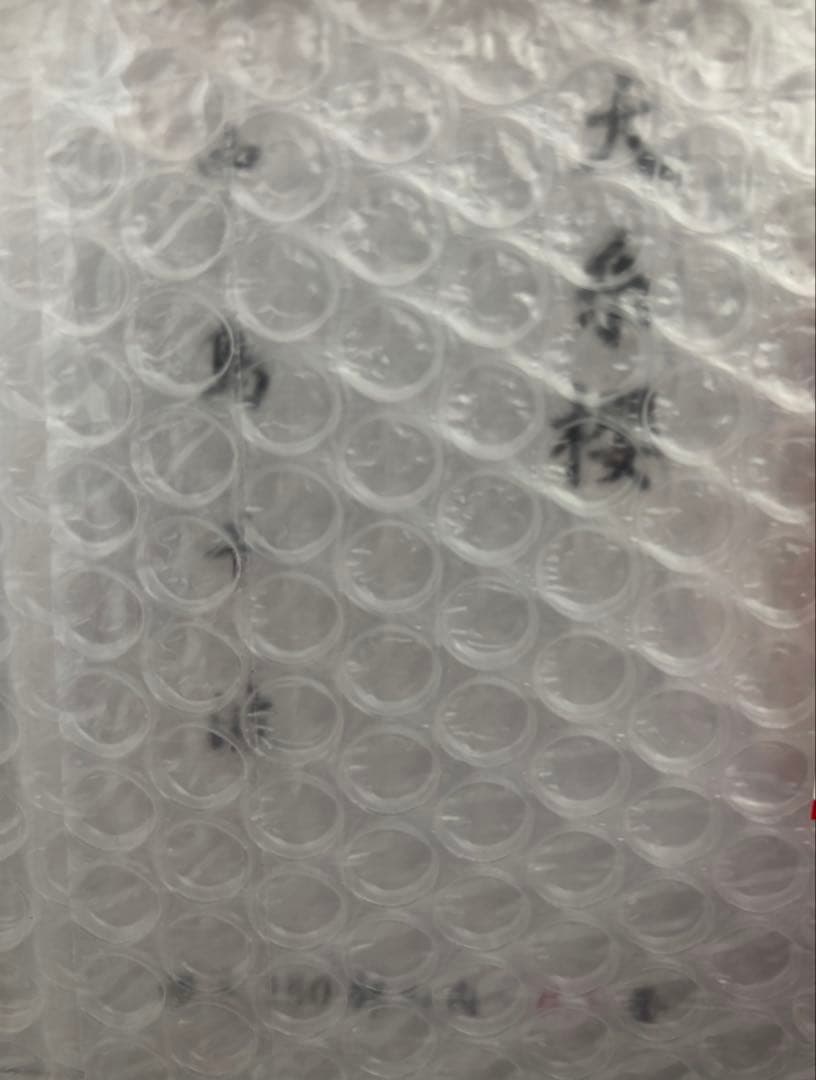 【新品未開封】中島千波 神田の大糸桜