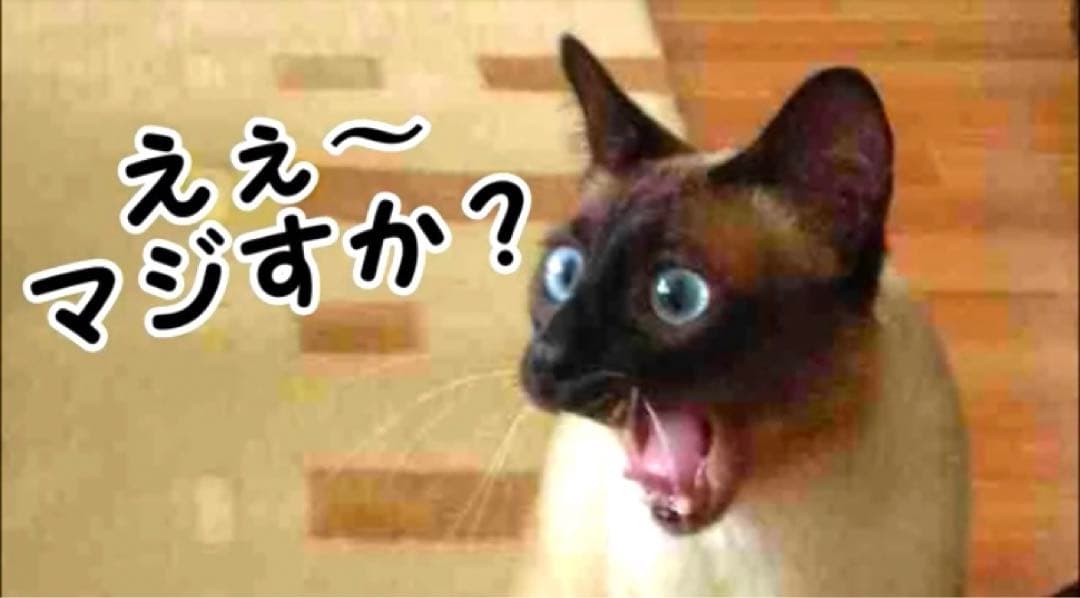 【極美品！】 アイナナ きらどるぬい アイナナパレード モンぬい 5種セット