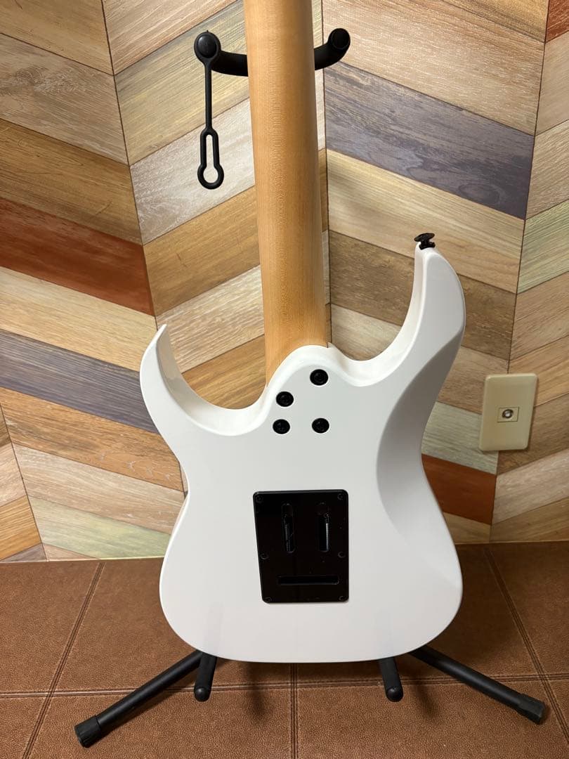 みな　Ibanez RGV250 WH