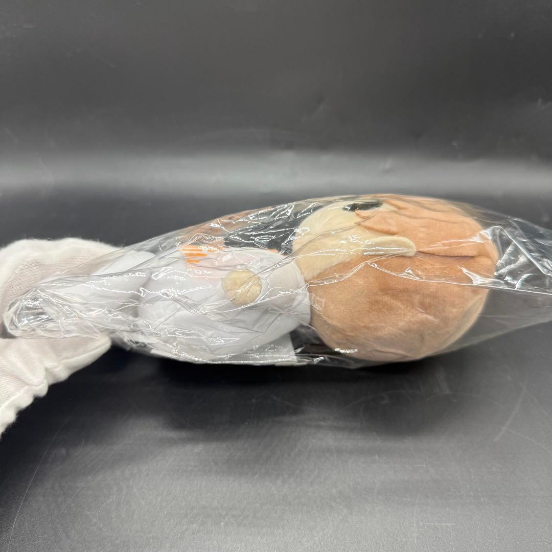 エメラルド 世界一初恋 ぬいぐるみ 小野寺律