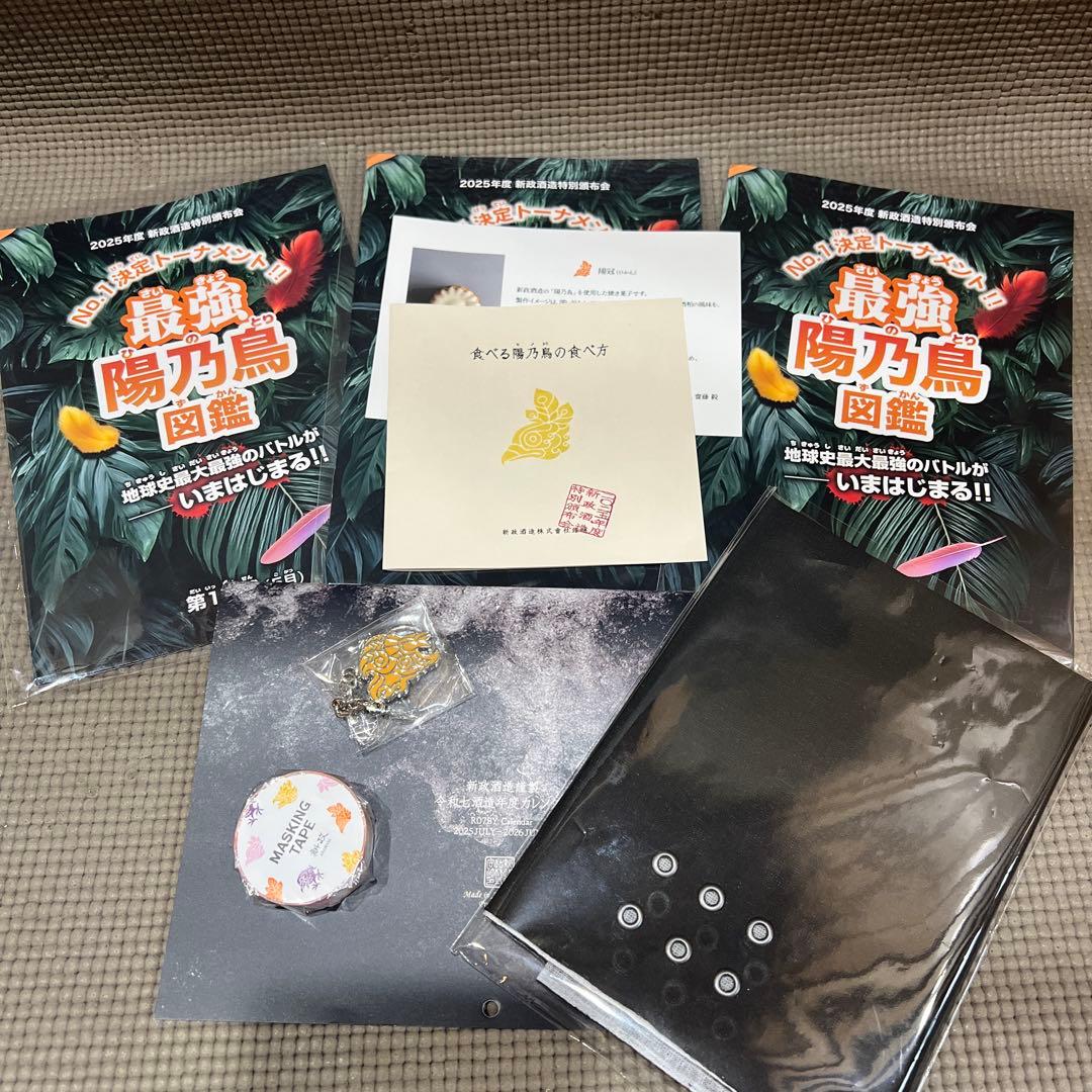 2025 新政頒布会 新政