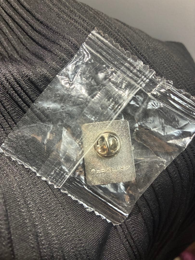 【大阪関西万博】チェコパビリオン 関係者用 非売品ピンバッジ 青EXPO2025