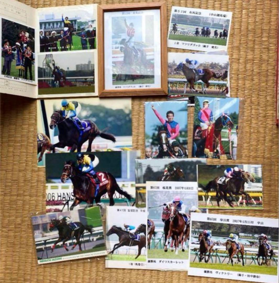 JRA 競馬 写真集
