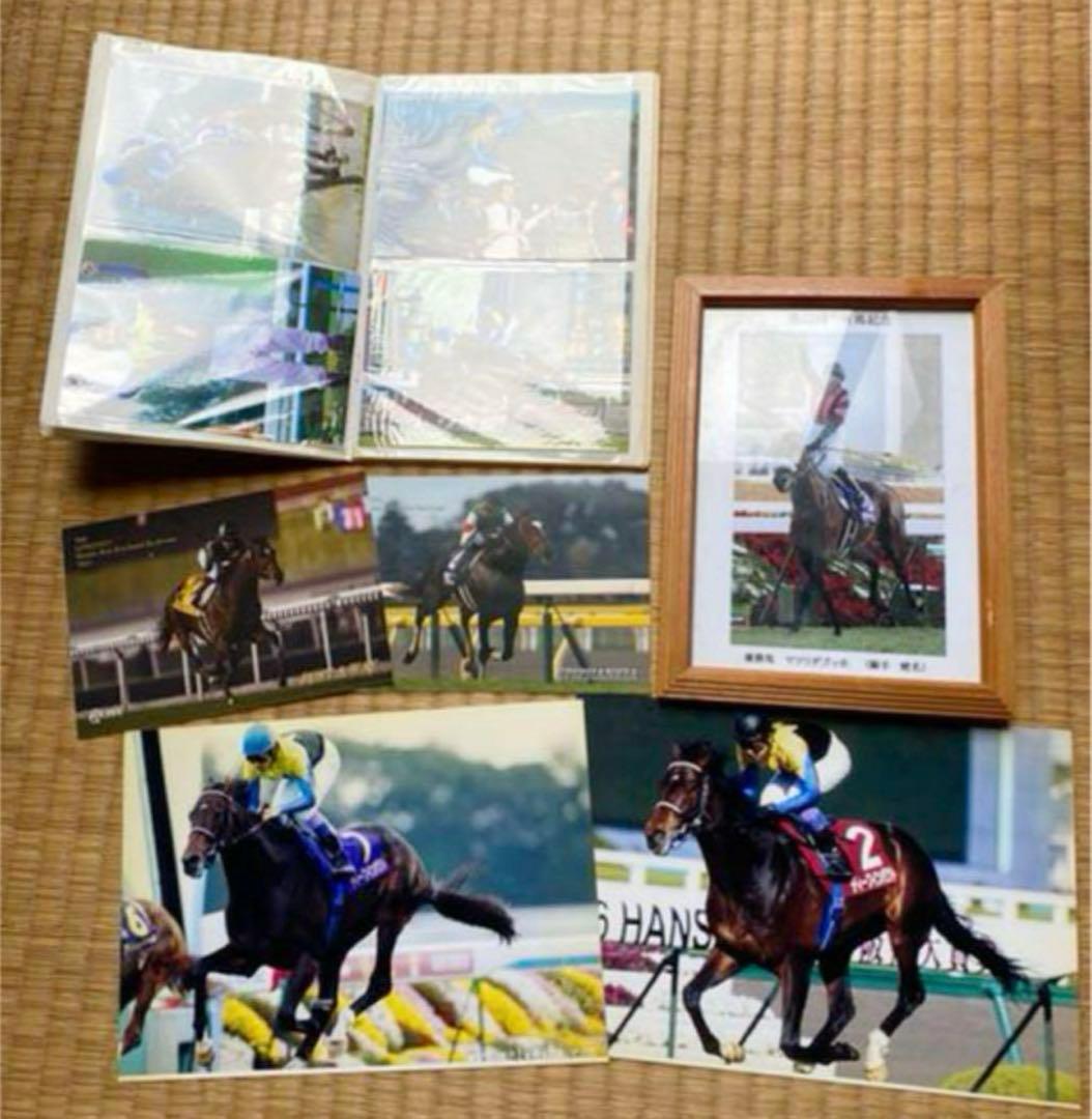 JRA 競馬 写真集