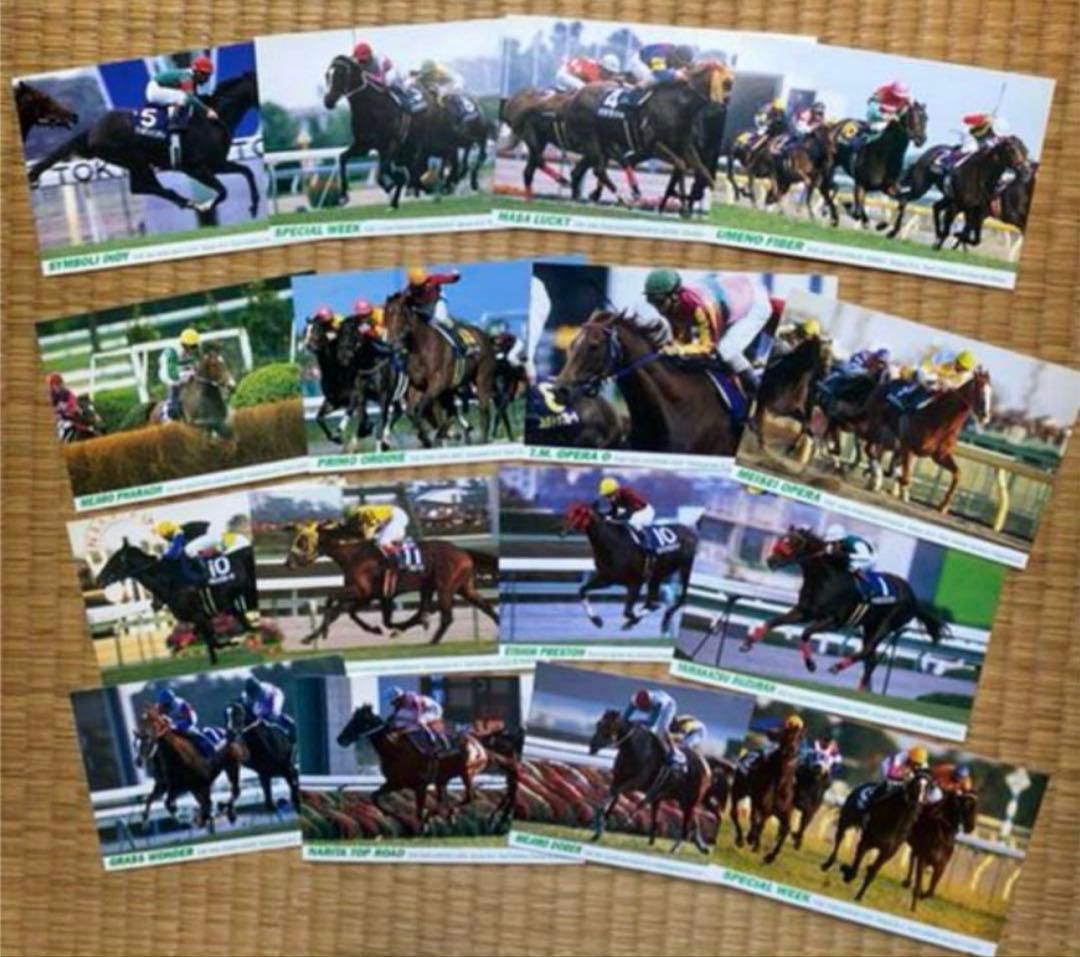 JRA 競馬 写真集