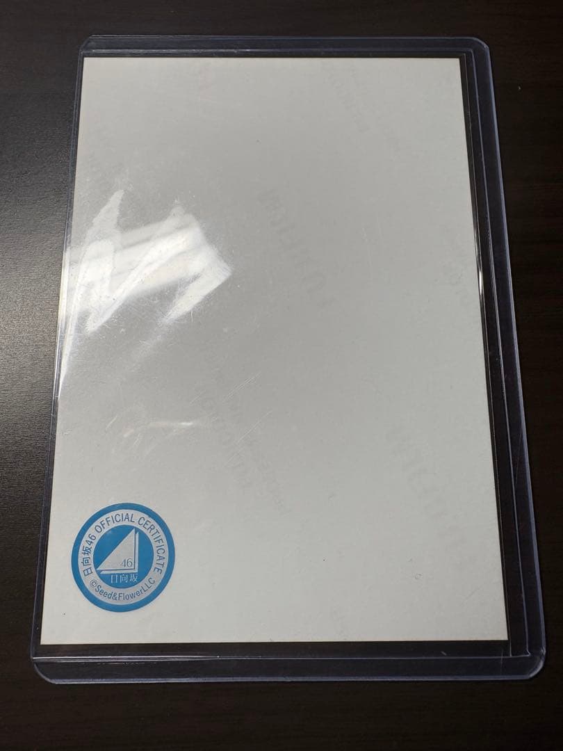 日向坂46 小坂菜緒 サンタ衣装 2023 直筆サイン入り生写真