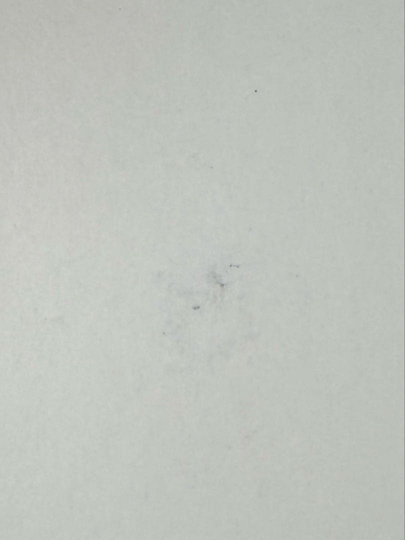 齋藤樹愛羅 CD抽選会 A賞 直筆 パネル