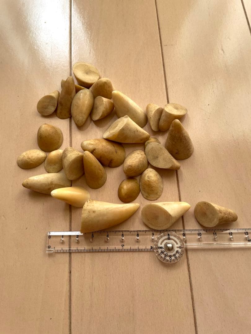 鯨歯　歯先のみ　マッコウ　根付け　ボーンカービング　イッカク　約114.76g