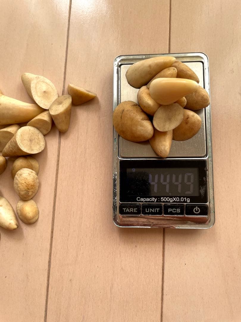 鯨歯　歯先のみ　マッコウ　根付け　ボーンカービング　イッカク　約114.76g