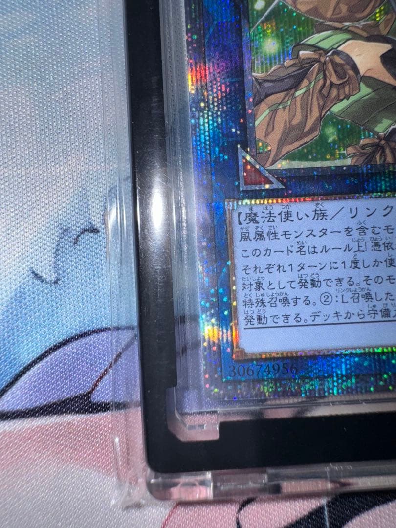 遊戯王 蒼翠の風霊使いウィン　25thシク クオシク